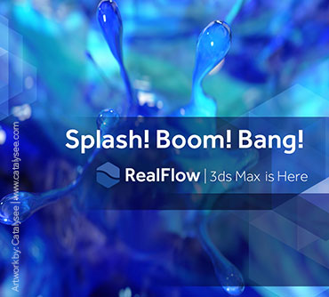 realflow learning edition